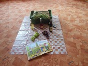 Vinobraní, pivobraní - Prevence rizikového chování